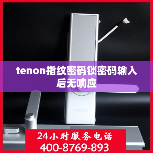 tenon指纹密码锁密码输入后无响应