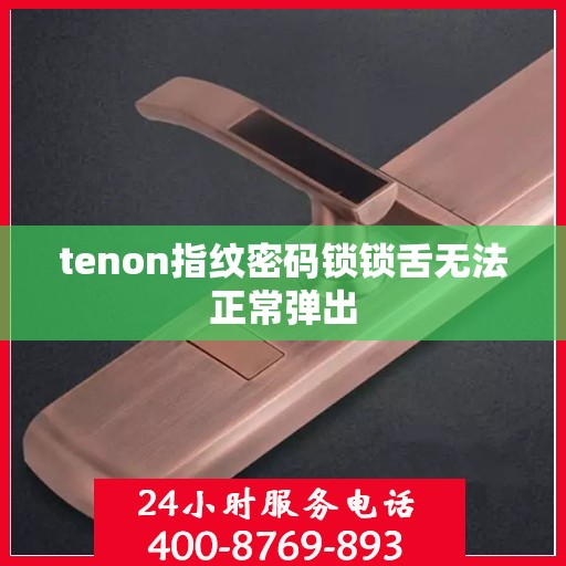 tenon指纹密码锁锁舌无法正常弹出