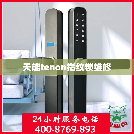 天能tenon指纹锁维修