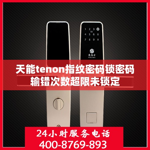 天能tenon指纹密码锁密码输错次数超限未锁定