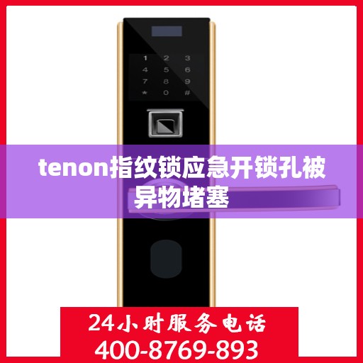 tenon指纹锁应急开锁孔被异物堵塞