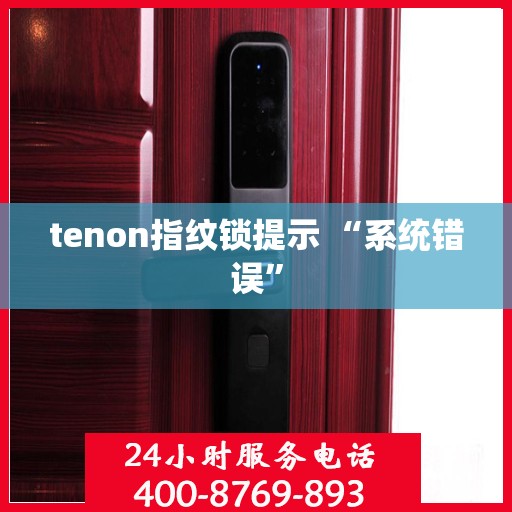 tenon指纹锁提示 “系统错误”
