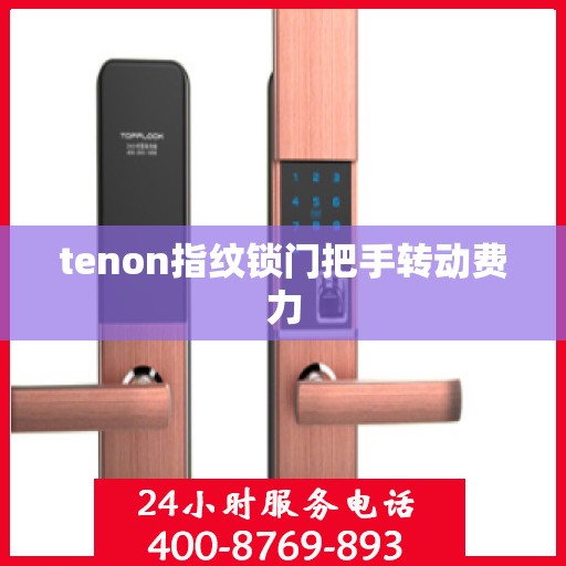 tenon指纹锁门把手转动费力