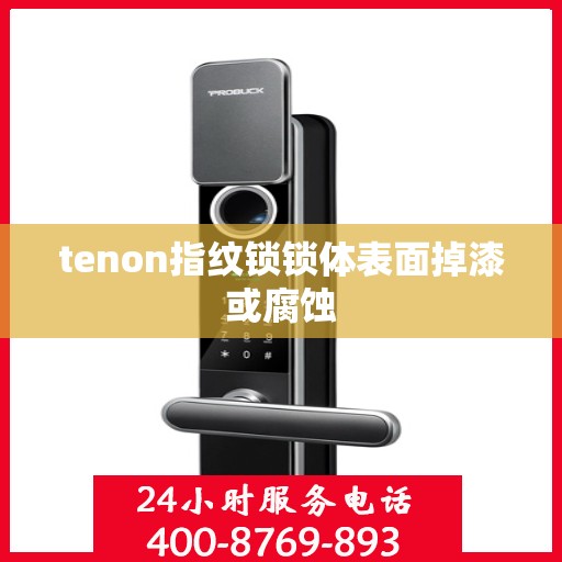 tenon指纹锁锁体表面掉漆或腐蚀