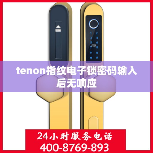 tenon指纹电子锁密码输入后无响应