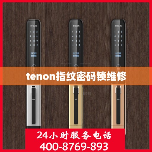 tenon指纹密码锁维修