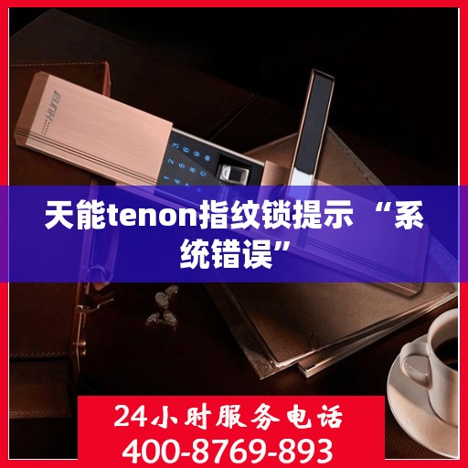 天能tenon指纹锁提示 “系统错误”