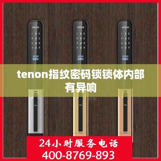tenon指纹密码锁锁体内部有异响