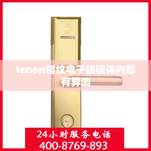 tenon指纹电子锁锁体内部有异响