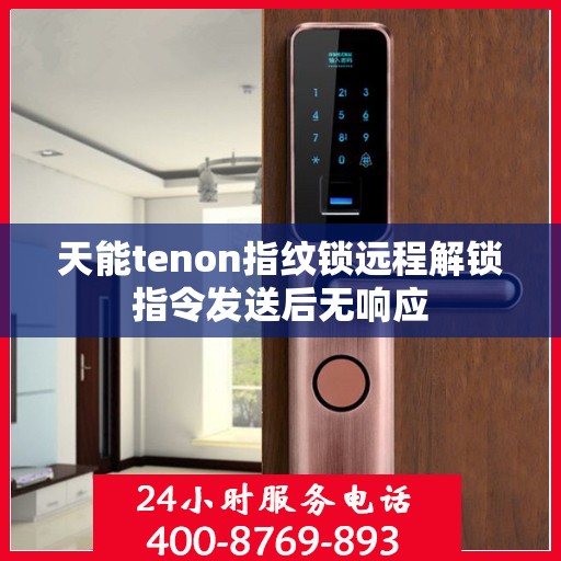 天能tenon指纹锁远程解锁指令发送后无响应