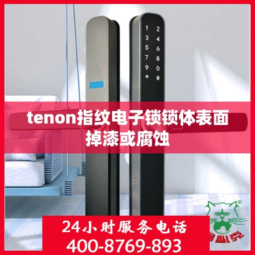 tenon指纹电子锁锁体表面掉漆或腐蚀