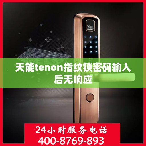 天能tenon指纹锁密码输入后无响应