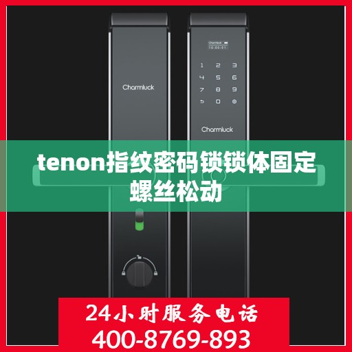 tenon指纹密码锁锁体固定螺丝松动