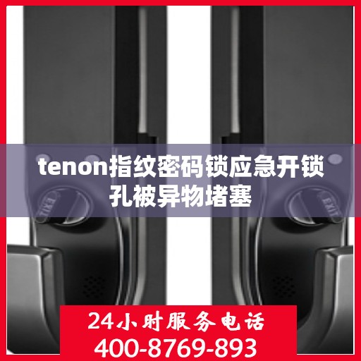 tenon指纹密码锁应急开锁孔被异物堵塞