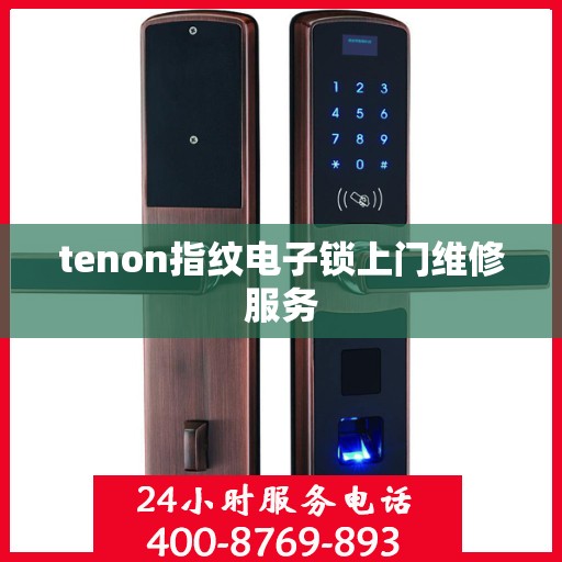 tenon指纹电子锁上门维修服务