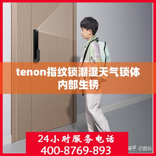 tenon指纹锁潮湿天气锁体内部生锈