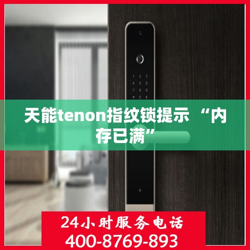 天能tenon指纹锁提示 “内存已满”