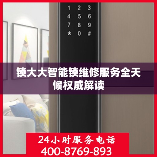 锁大大智能锁维修服务全天候权威解读