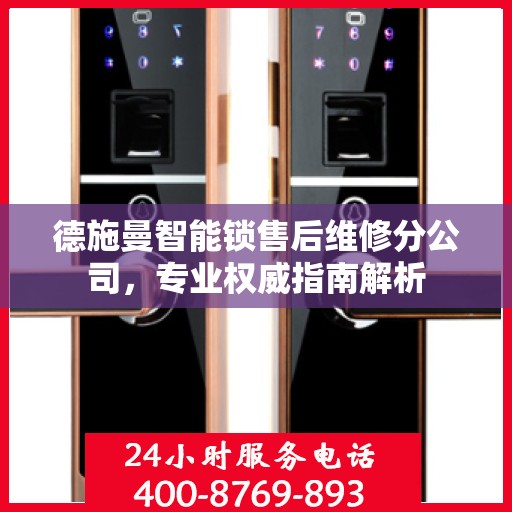 德施曼智能锁售后维修分公司，专业权威指南解析