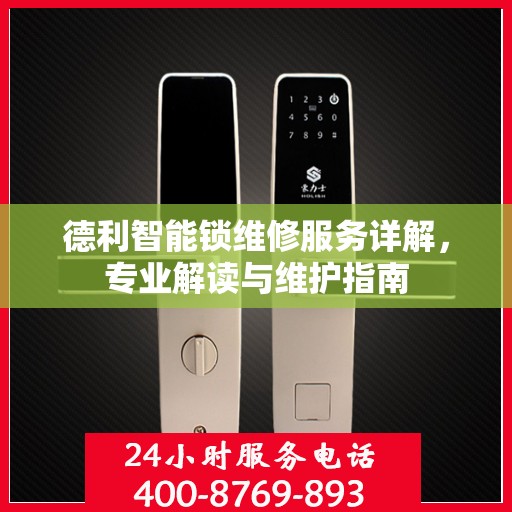 德利智能锁维修服务详解，专业解读与维护指南