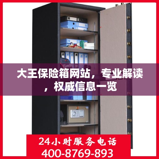 大王保险箱网站，专业解读，权威信息一览