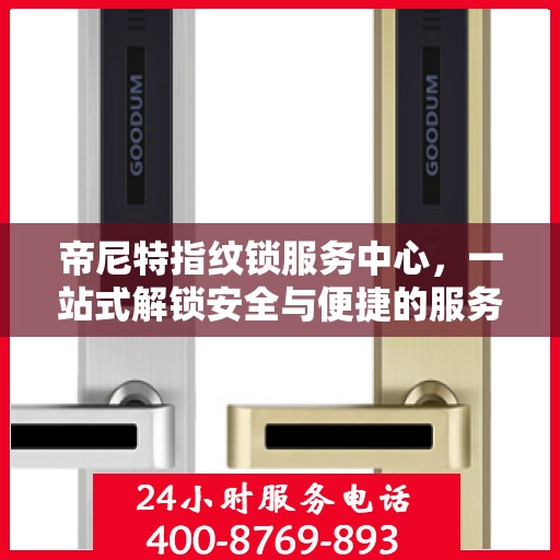 帝尼特指纹锁服务中心，一站式解锁安全与便捷的服务全攻略