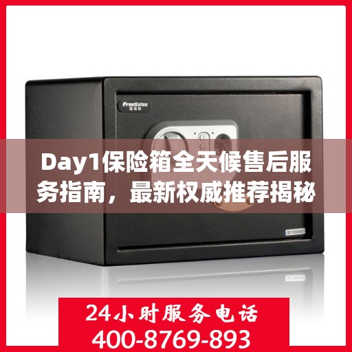 Day1保险箱全天候售后服务指南，最新权威推荐揭秘