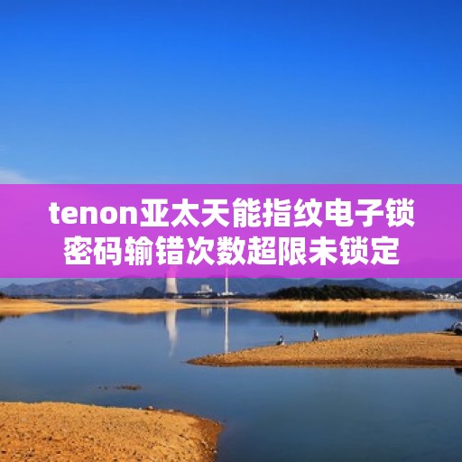 tenon亚太天能指纹电子锁密码输错次数超限未锁定