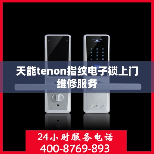 天能tenon指纹电子锁上门维修服务