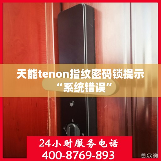 天能tenon指纹密码锁提示 “系统错误”
