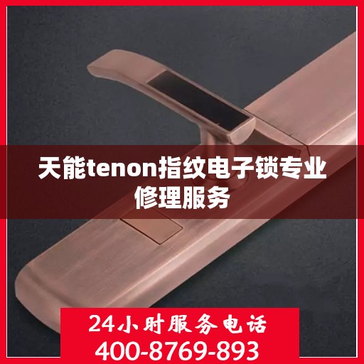 天能tenon指纹电子锁专业修理服务