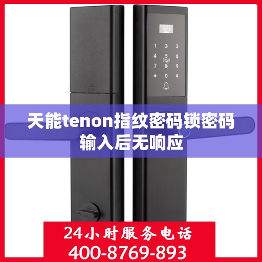 天能tenon指纹密码锁密码输入后无响应