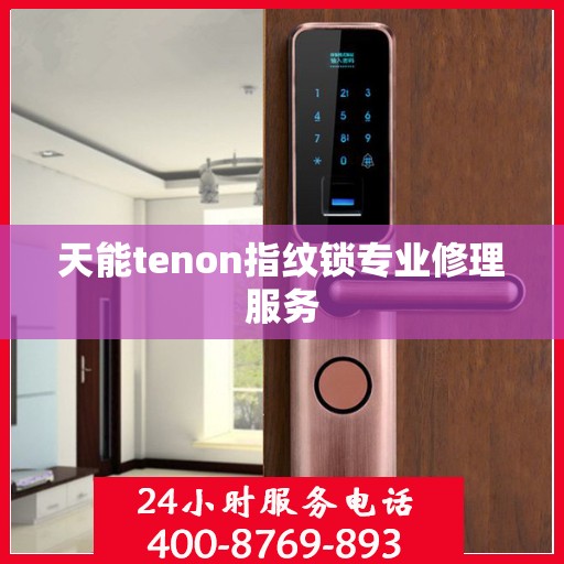 天能tenon指纹锁专业修理服务