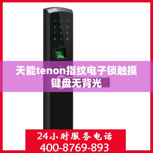 天能tenon指纹电子锁触摸键盘无背光
