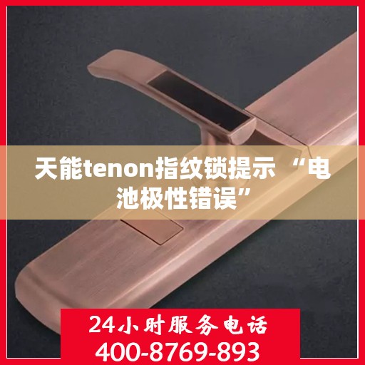 天能tenon指纹锁提示 “电池极性错误”