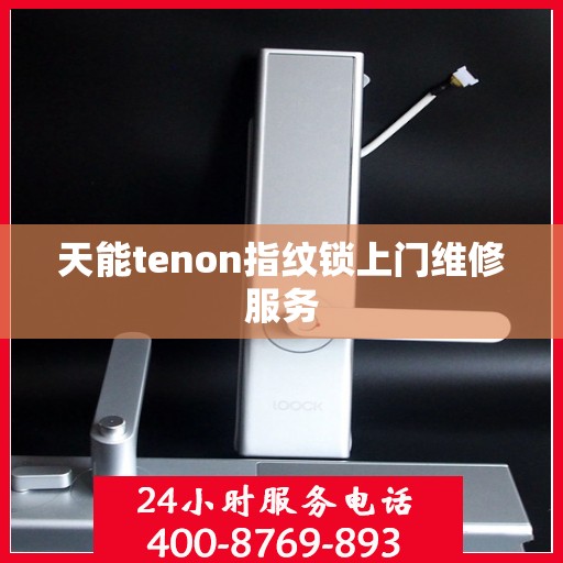天能tenon指纹锁上门维修服务