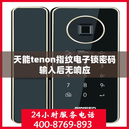 天能tenon指纹电子锁密码输入后无响应