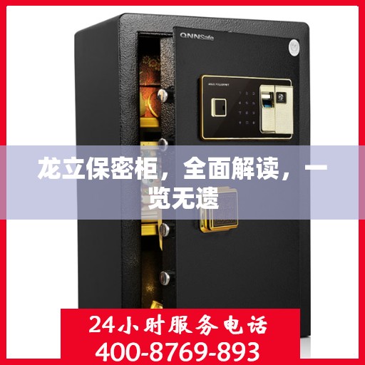 龙立保密柜，全面解读，一览无遗