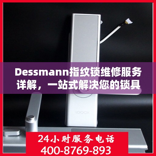 Dessmann指纹锁维修服务详解，一站式解决您的锁具问题