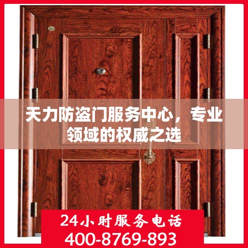 天力防盗门服务中心，专业领域的权威之选