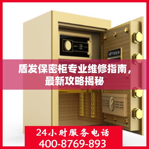 盾发保密柜专业维修指南，最新攻略揭秘