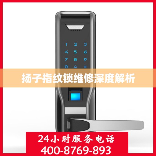 扬子指纹锁维修深度解析
