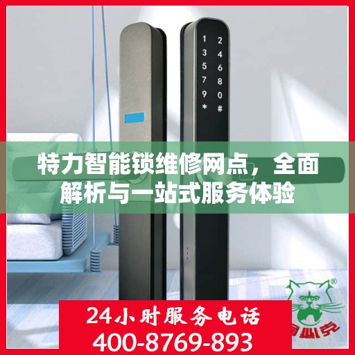特力智能锁维修网点，全面解析与一站式服务体验