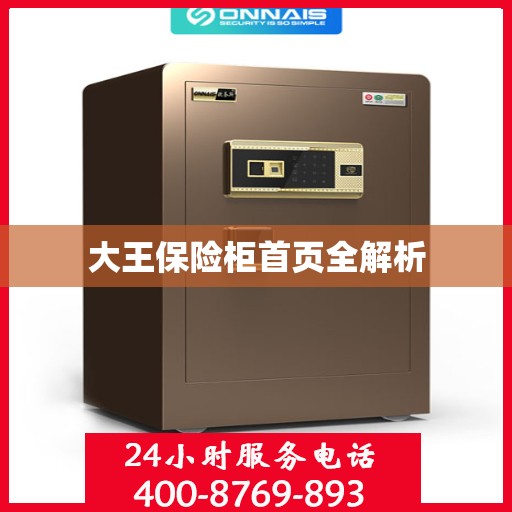 大王保险柜首页全解析