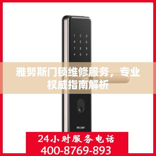 雅努斯门锁维修服务，专业权威指南解析