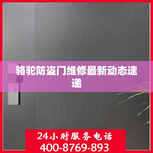 骆驼防盗门维修最新动态速递