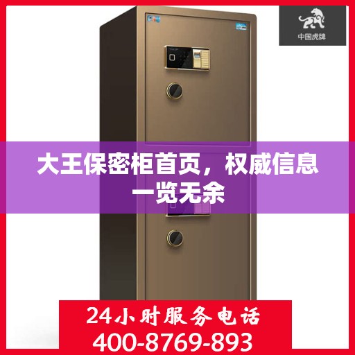 大王保密柜首页，权威信息一览无余
