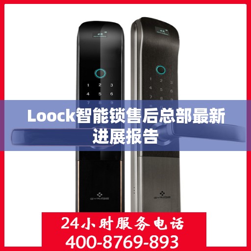 Loock智能锁售后总部最新进展报告