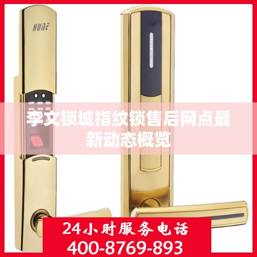 李文锁城指纹锁售后网点最新动态概览