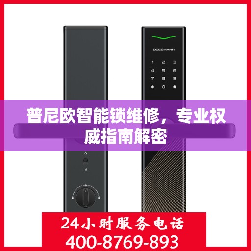 普尼欧智能锁维修，专业权威指南解密
